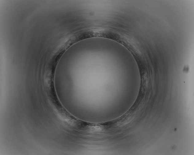 X0000094440698200711081249