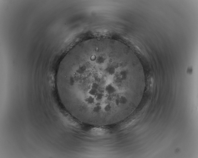 X0000094440699200711081249