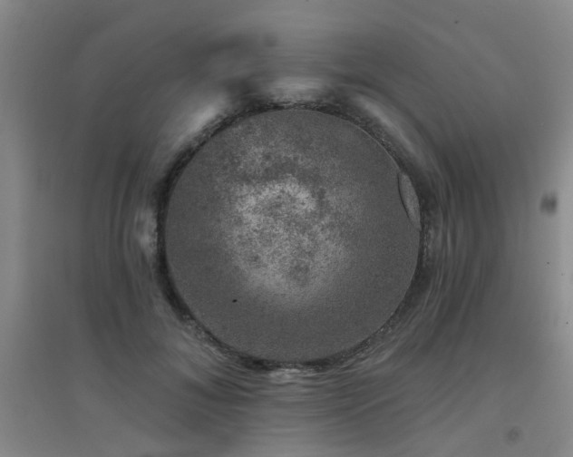 X0000094440700200711081249
