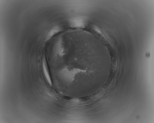X0000094440704200711081249