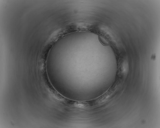X0000094440706200711081249