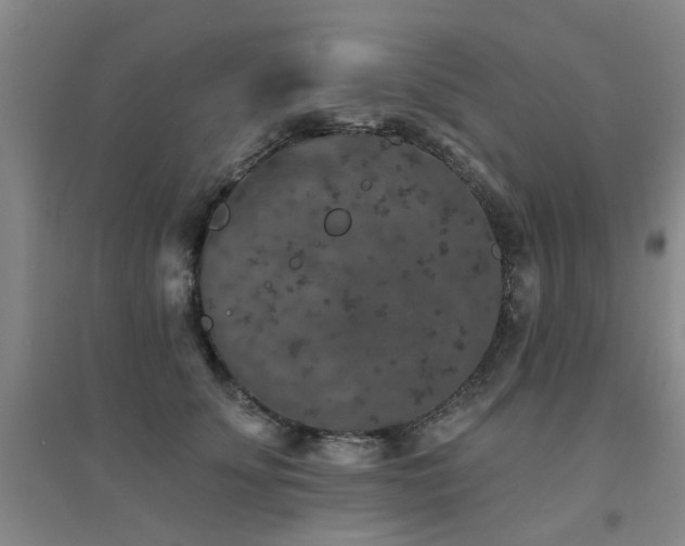 X0000094440707200711081249