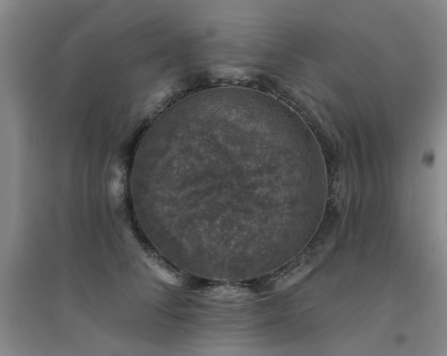 X0000094440708200711081249