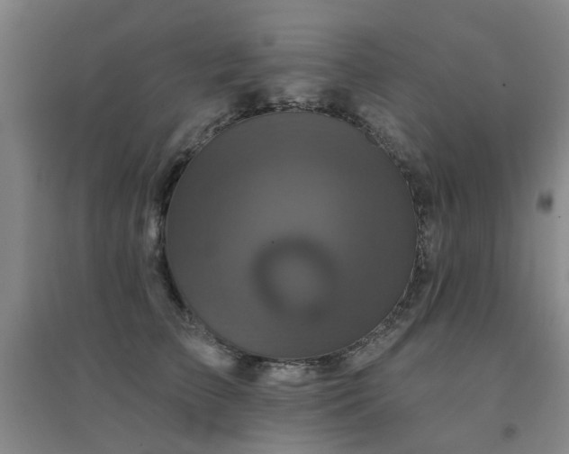 X0000094440709200711081249