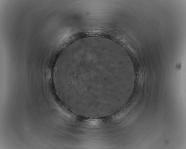 X0000094440711200711081249