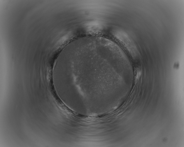X0000094440712200711081249