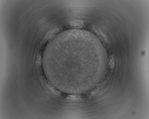 X0000094440713200711081249
