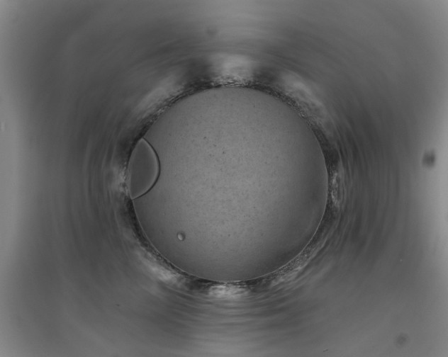 X0000094440714200711081249