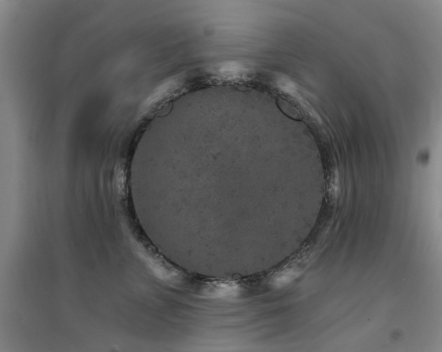 X0000094440715200711081248