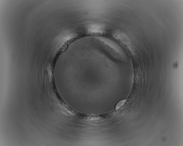 X0000094440716200711081248