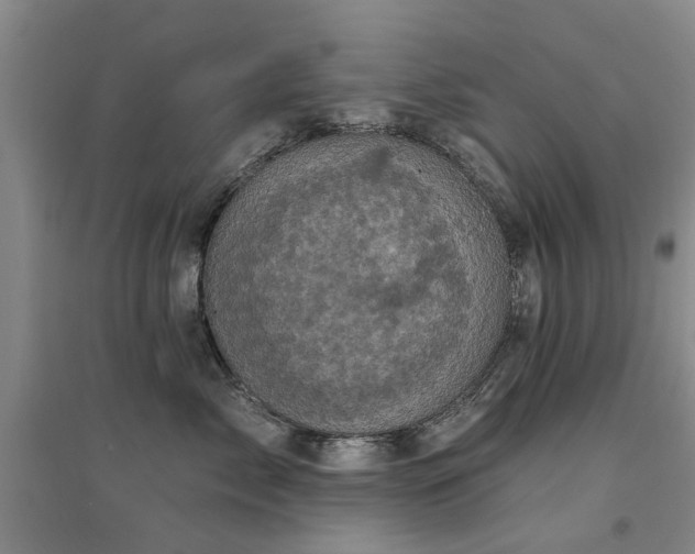 X0000094440717200711081248
