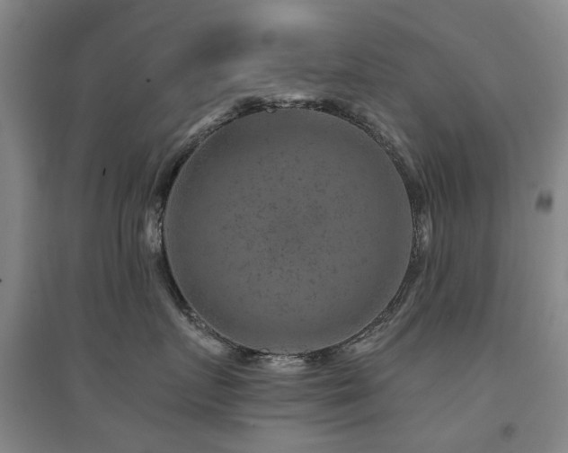 X0000094440719200711081248