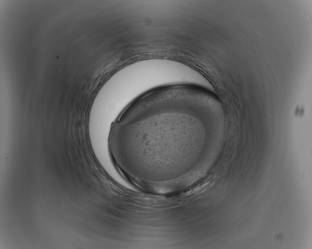 X0000094440720200711081248