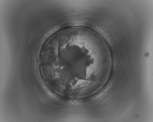 X0000094440721200711081248