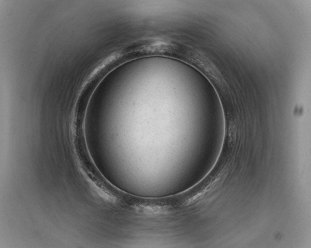 X0000094440722200711081248