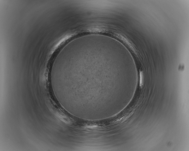 X0000094440723200711081248