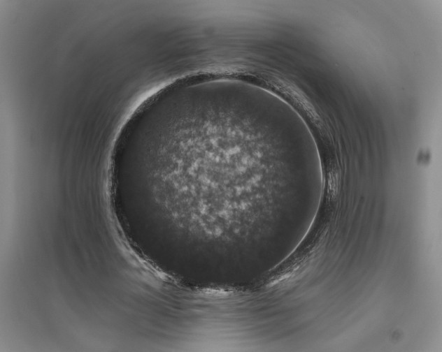 X0000094440724200711081248