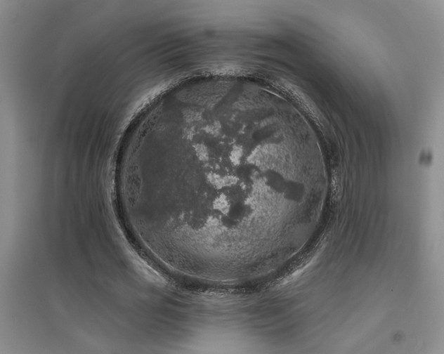 X0000094440725200711081248