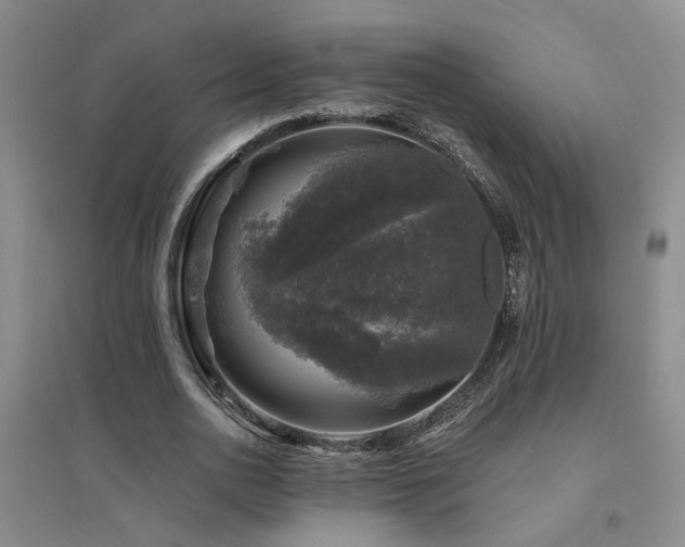 X0000094440726200711081248