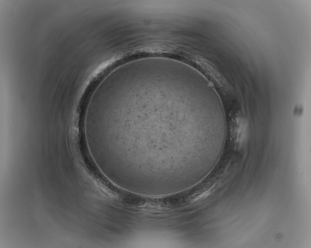 X0000094440727200711081248