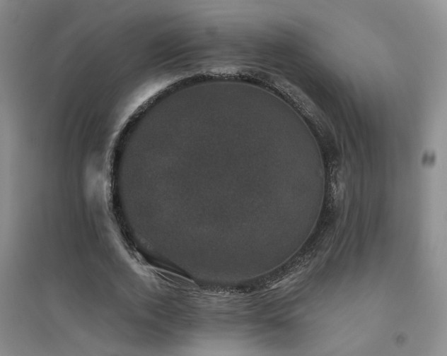 X0000094440728200711081248