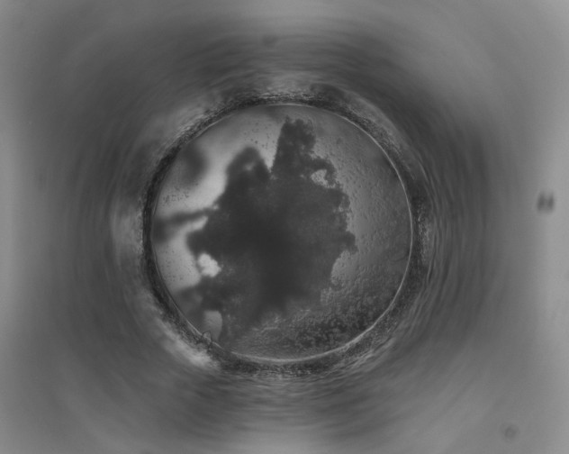 X0000094440729200711081248