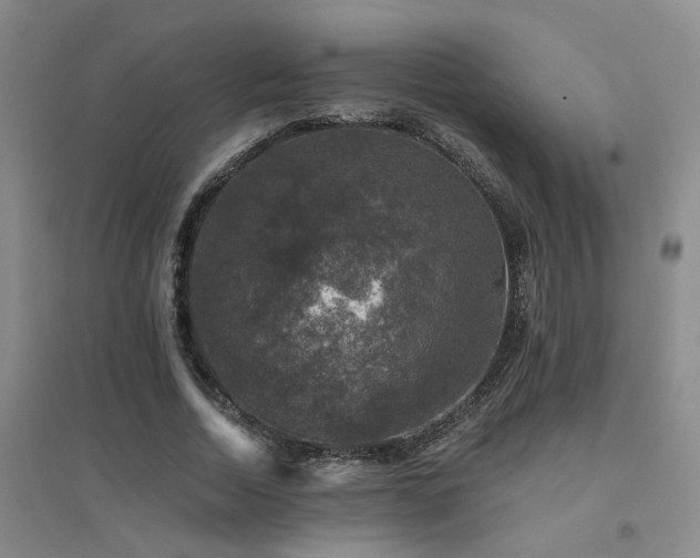 X0000094440730200711081248
