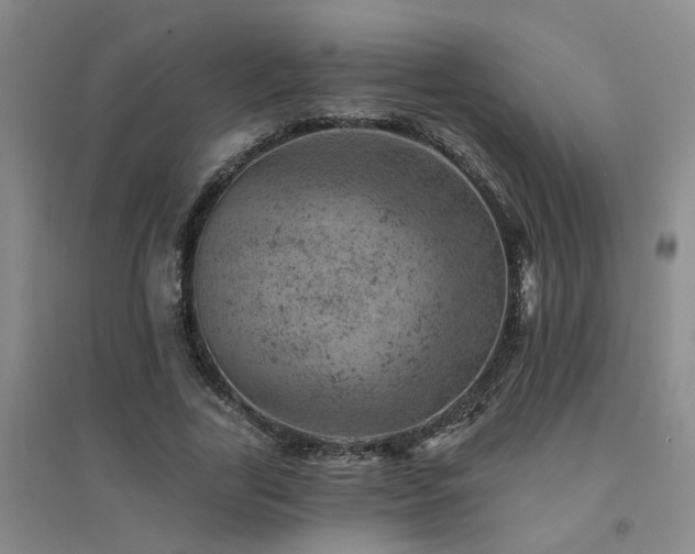 X0000094440731200711081248