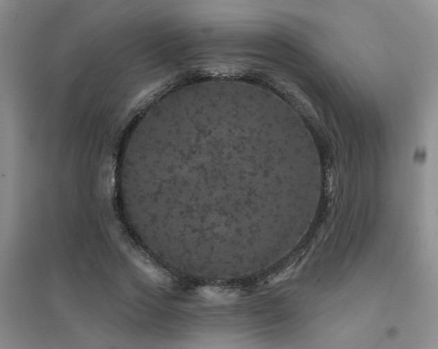 X0000094440733200711081248
