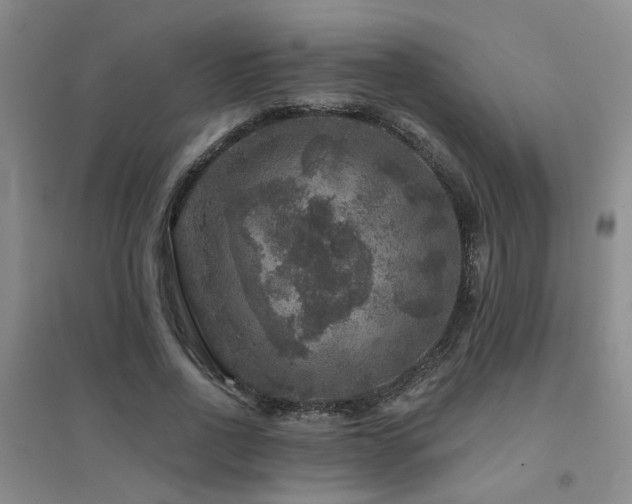 X0000094440734200711081248