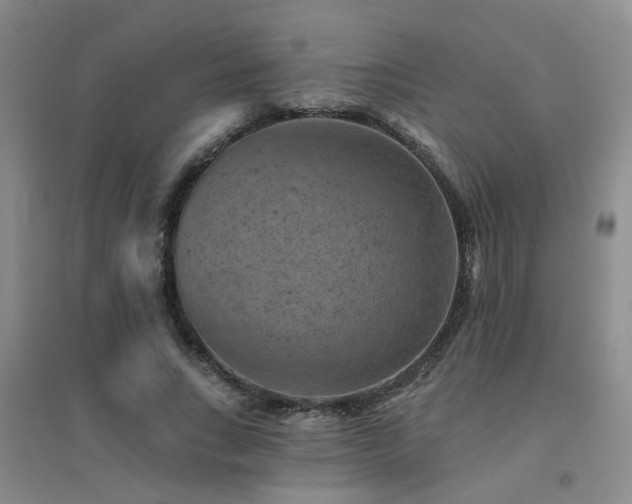 X0000094440735200711081248