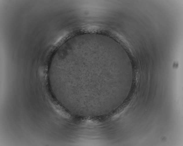 X0000094440737200711081248