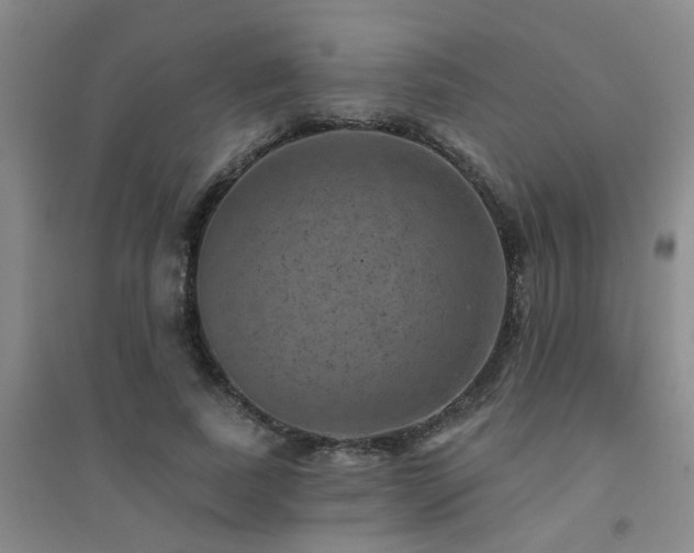 X0000094440739200711081248