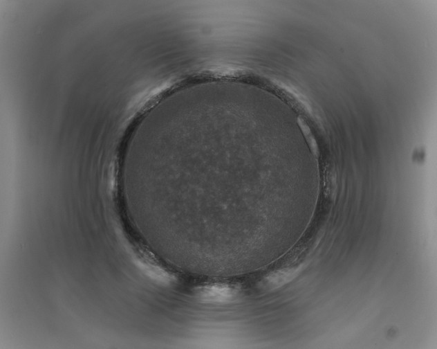 X0000094440740200711081248