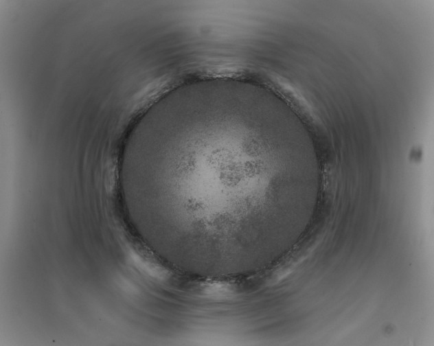 X0000094440741200711081248