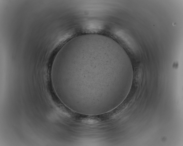X0000094440743200711081248