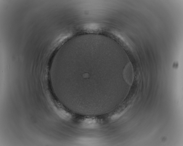 X0000094440744200711081248
