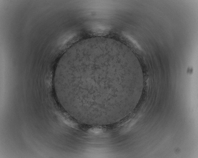 X0000094440745200711081248