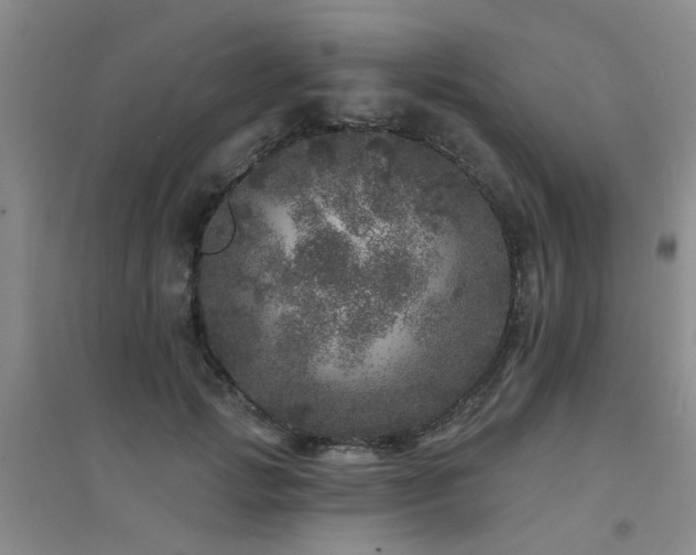 X0000094440749200711081248