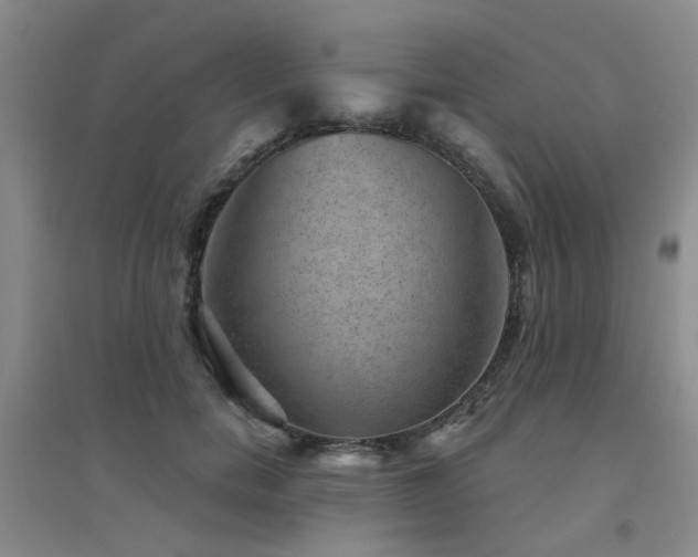 X0000094440750200711081248