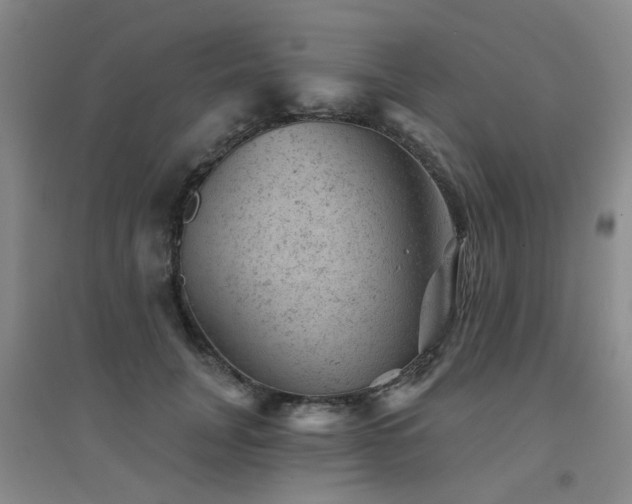 X0000094440751200711081248
