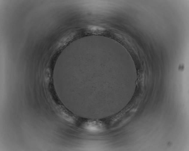 X0000094440752200711081248