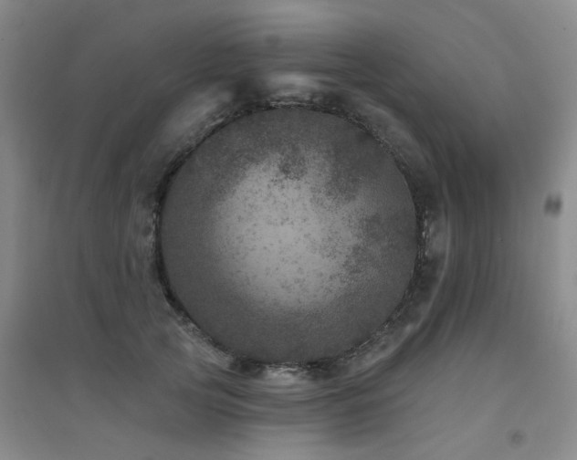 X0000094440753200711081248