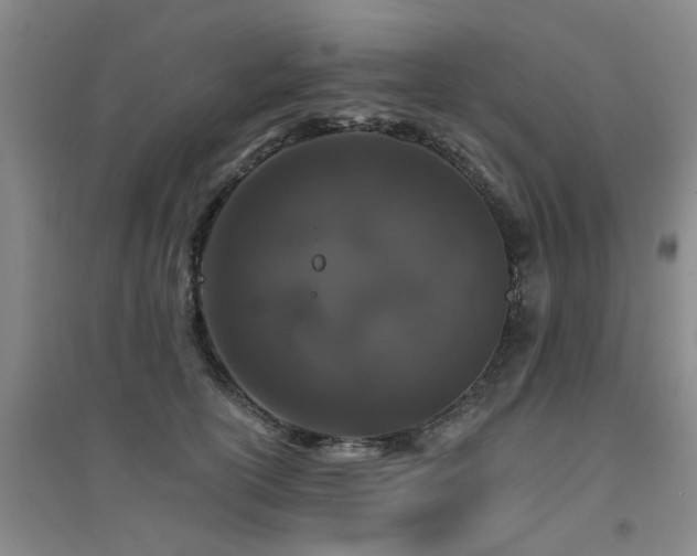 X0000094440754200711081248