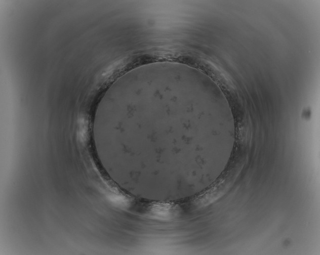 X0000094440757200711081248
