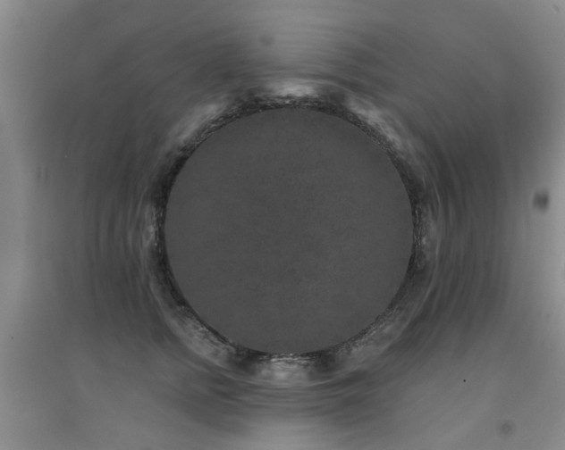 X0000094440758200711081248