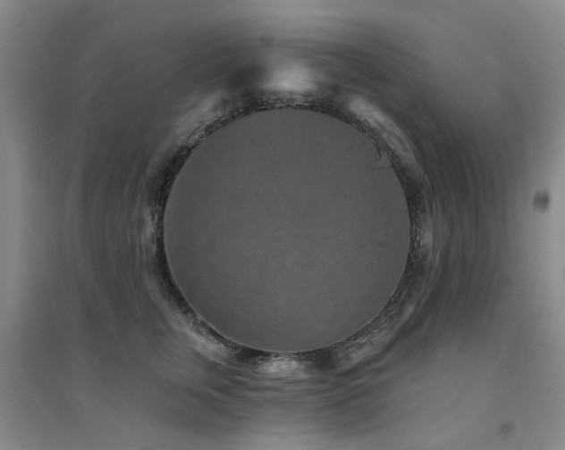 X0000094440759200711081248