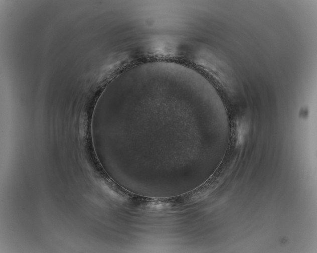 X0000094440760200711081248