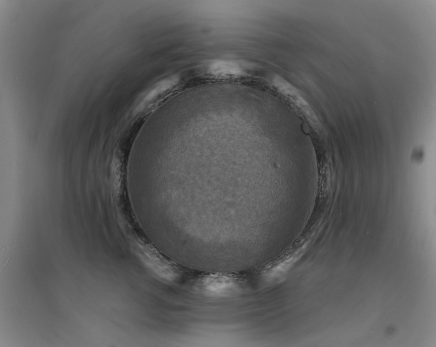 X0000094440762200711081248