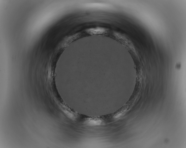 X0000094440763200711081248